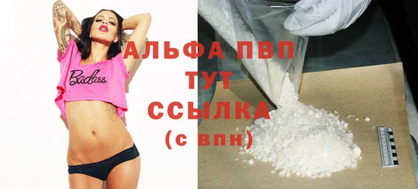 стафф Арсеньев