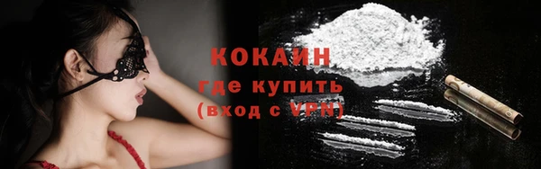 стафф Арсеньев