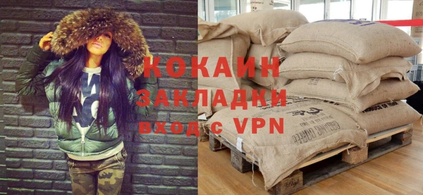 стафф Арсеньев