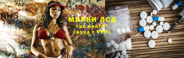 стафф Арсеньев