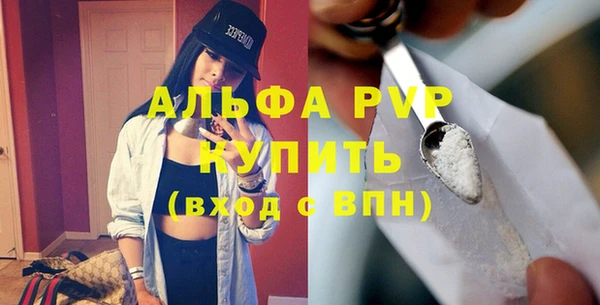 стафф Арсеньев